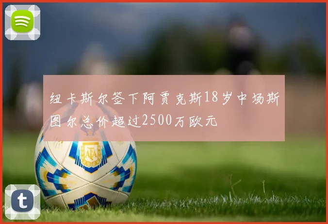 纽卡斯尔签下阿贾克斯18岁中场斯图尔总价超过2500万欧元