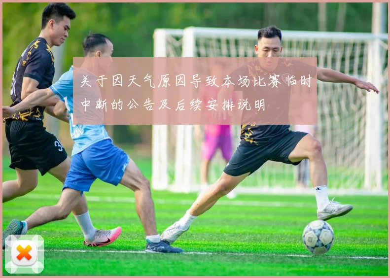 关于因天气原因导致本场比赛临时中断的公告及后续安排说明